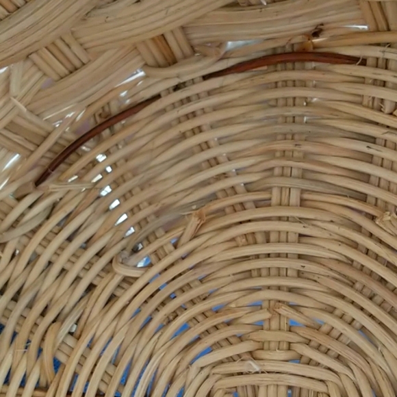 Turtle Basket - Picture 7 of 7